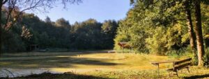 Neo Tango Summer Camp 2026