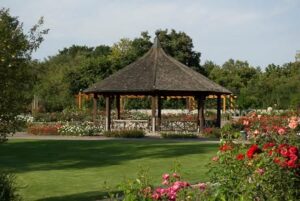 Salsa-Picknick im Botanischen Garten Augsburg