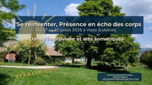 Stage d&rsquo;été · ✨ Se Réinventer — Présence en écho des corps · · Danse improvisation & Arts somatiques