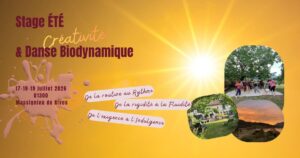Stage Été : Danse & Créativité