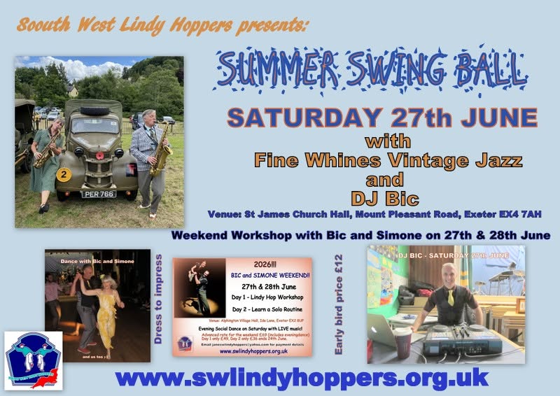 Summer Swing Ball