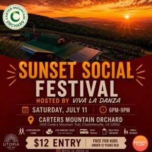✨Sunset Social Festival✨