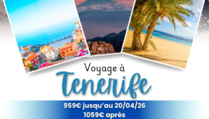 Voyage à Tenerife (îles Canaries)
