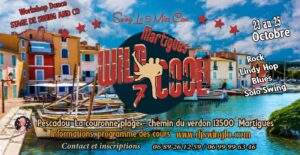 Wild Cool & Swingin &lsquo; 🔶️Martigues 🔶️ Stage de danse Rock – Swing