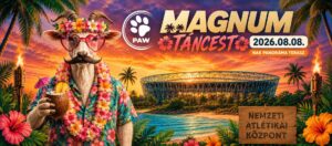PAW | Magnum táncest 7️⃣ dj, 4⃣ stílus, 3⃣ ws, hajnal 3ig @ NAK Panoráma terasz (26.08.08.)