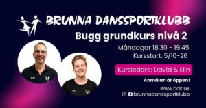 Bugg grundkurs nivå 2