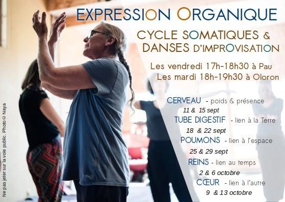cycle somatique et danses d&rsquo;impro: l&rsquo;expression organique