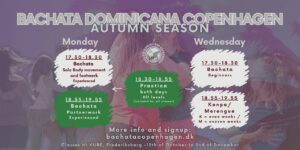 Experienced Bachata – Partnerwork – Autumn season