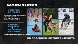 Séminaire Elke Boxoen – Dogz Devotion