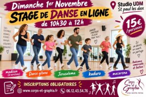 STAGE DE DANSES EN LIGNE POUR LE BAL (40)