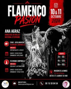 Stage de Flamenco Ana Agraz Ballet National d&rsquo;Espagne