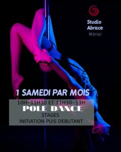 Stage de pole dance