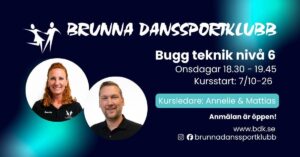Bugg teknik nivå 6
