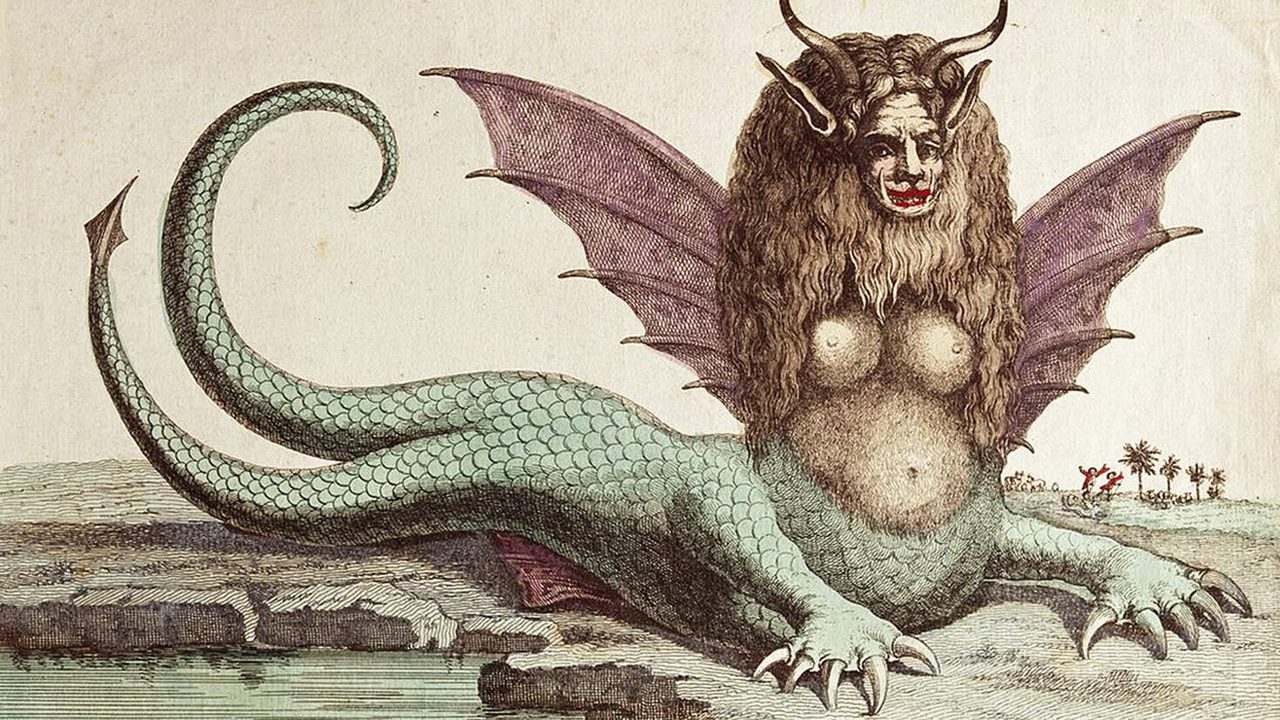 Corpo Pelvico