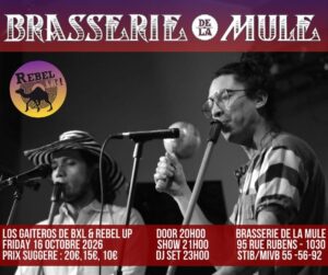 Du folklore aux platines — Los Gaiteros de Bruselas & Rebel Up
