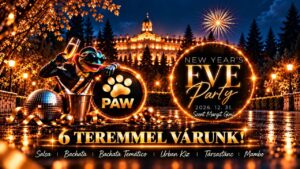 PAW | 🎉New Year&rsquo;s Eve party🎉 9️⃣ dj, 6️⃣ terem, 5️⃣ stílus @ Szent Margit gimi (26.12.31.)
