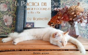 Practica del Gato :)