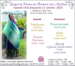 Stages de danses du Museion.Apolline : tribal fusion / tzigane / persane / saïdi / sharqi